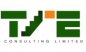 TIE Consulting Limited logo